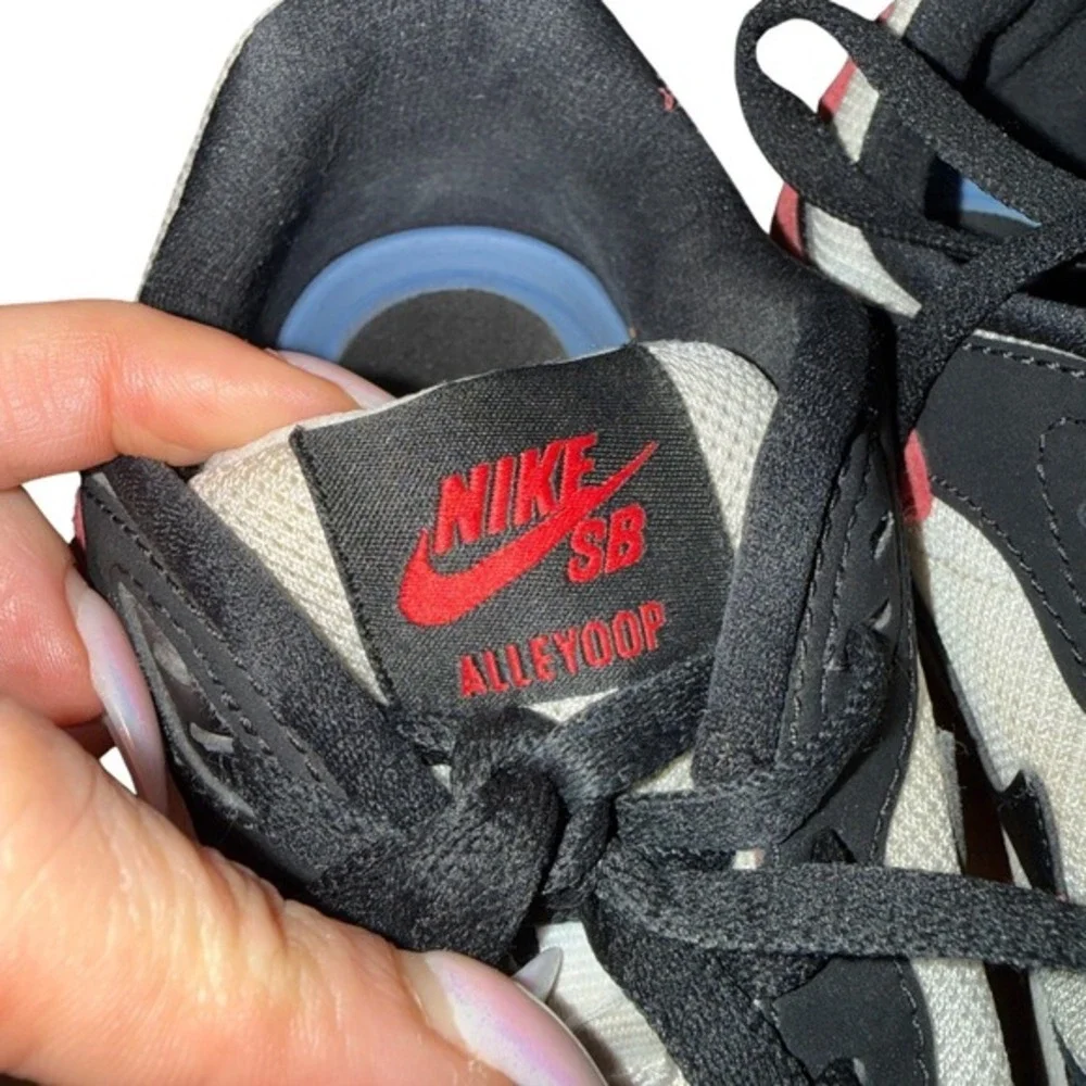 Nike sb alleyoop